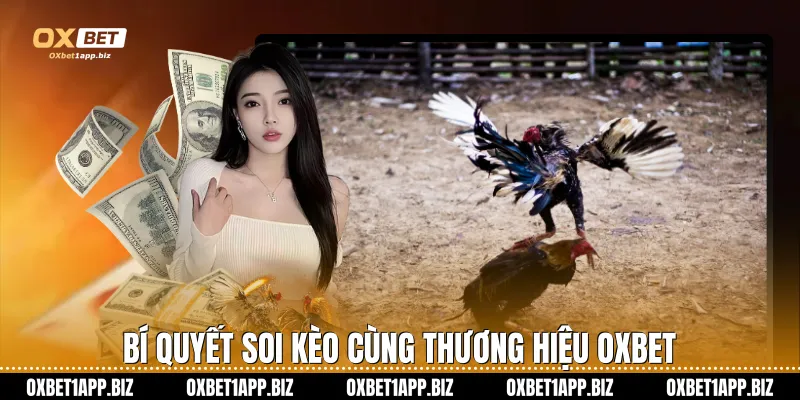 Đá Gà Cựa Sắt Oxbet – Đỉnh Cao Giải Trí Và Cơ Hội Làm Giàu Bí quyết soi kèo cùng thương hiệu Oxbet