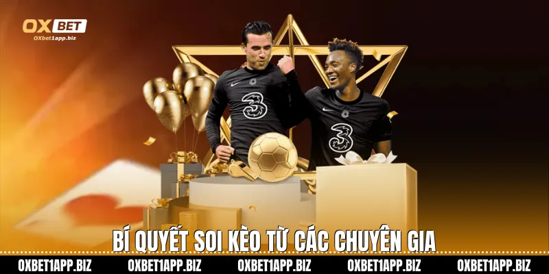 Kèo Châu Âu Oxbet Chiến Thuật Cá Cược Đỉnh Cao Cho Mọi Người Bí quyết soi kèo từ các chuyên gia