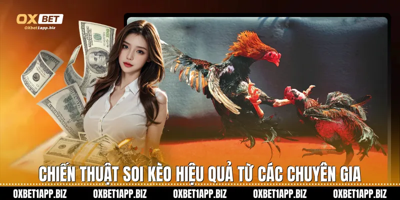 Đá Gà Cựa Dao Oxbet - Đỉnh Cao Giải Trí Và Cơ Hội Làm Giàu Chiến thuật soi kèo hiệu quả từ các chuyên gia