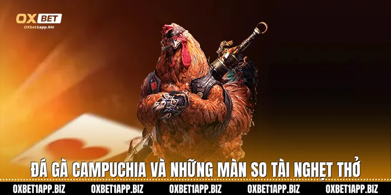 Đá Gà Campuchia Oxbet: Đỉnh Cao Cá Cược Kê Chiến Trực Tuyến Đá gà Campuchia và những màn so tài nghẹt thở