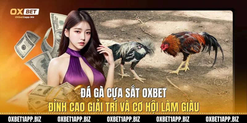 Đá Gà Cựa Sắt Oxbet – Đỉnh Cao Giải Trí Và Cơ Hội Làm Giàu Đá Gà Cựa Sắt Oxbet – Đỉnh Cao Giải Trí Và Cơ Hội Làm Giàu