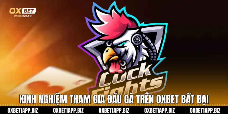 Đá gà Oxbet Kinh nghiệm tham gia đấu gà trên Oxbet bất bại