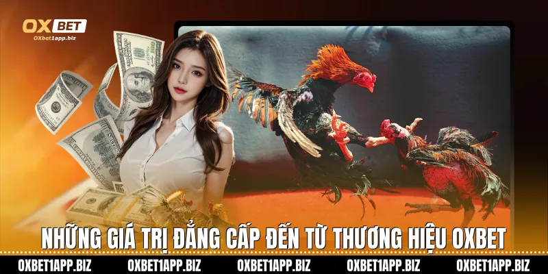 Đá Gà Cựa Dao Oxbet - Đỉnh Cao Giải Trí Và Cơ Hội Làm Giàu Những giá trị đẳng cấp đến từ thương hiệu Oxbet