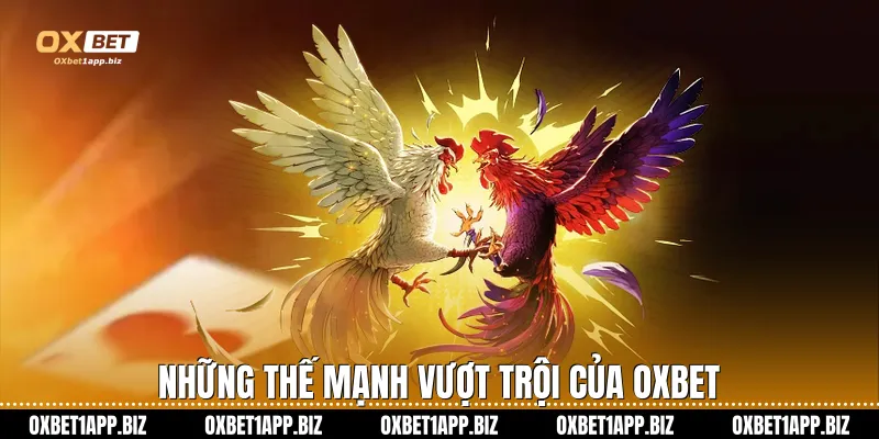 Đá gà Oxbet Những thế mạnh vượt trội của Oxbet