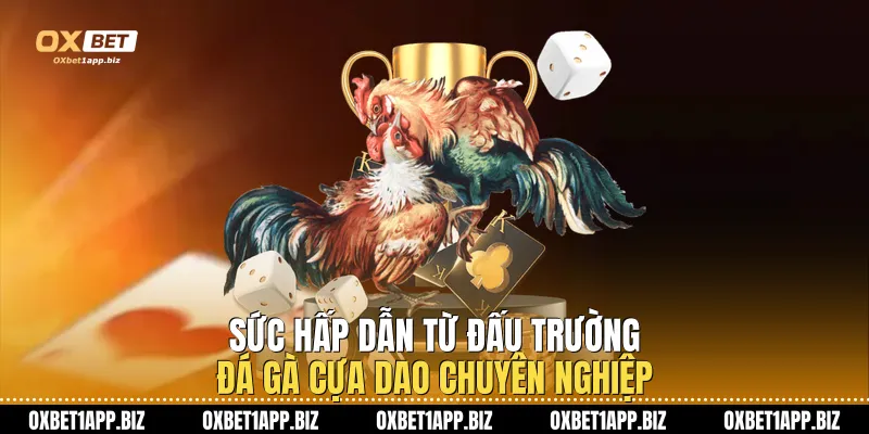 Đá Gà Cựa Dao Oxbet - Đỉnh Cao Giải Trí Và Cơ Hội Làm Giàu Sức hấp dẫn từ đấu trường đá gà cựa dao chuyên nghiệp