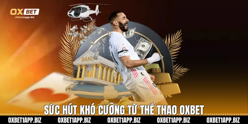 Thể thao Oxbet Sức hút khó cưỡng từ thể thao Oxbet