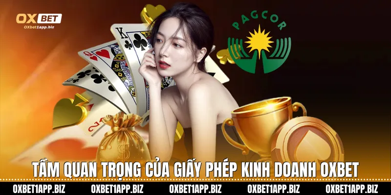 Giấy phép kinh doanh Tầm quan trọng của giấy phép kinh doanh Oxbet